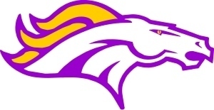 bronco head logo