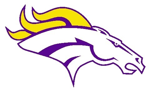 bronco head logo