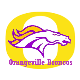 Orangeville Broncos O and bronco head